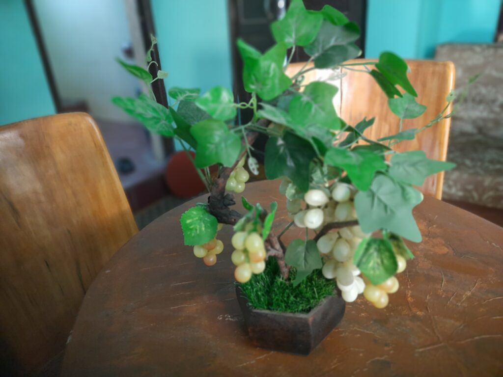 Artificial Grape Plant