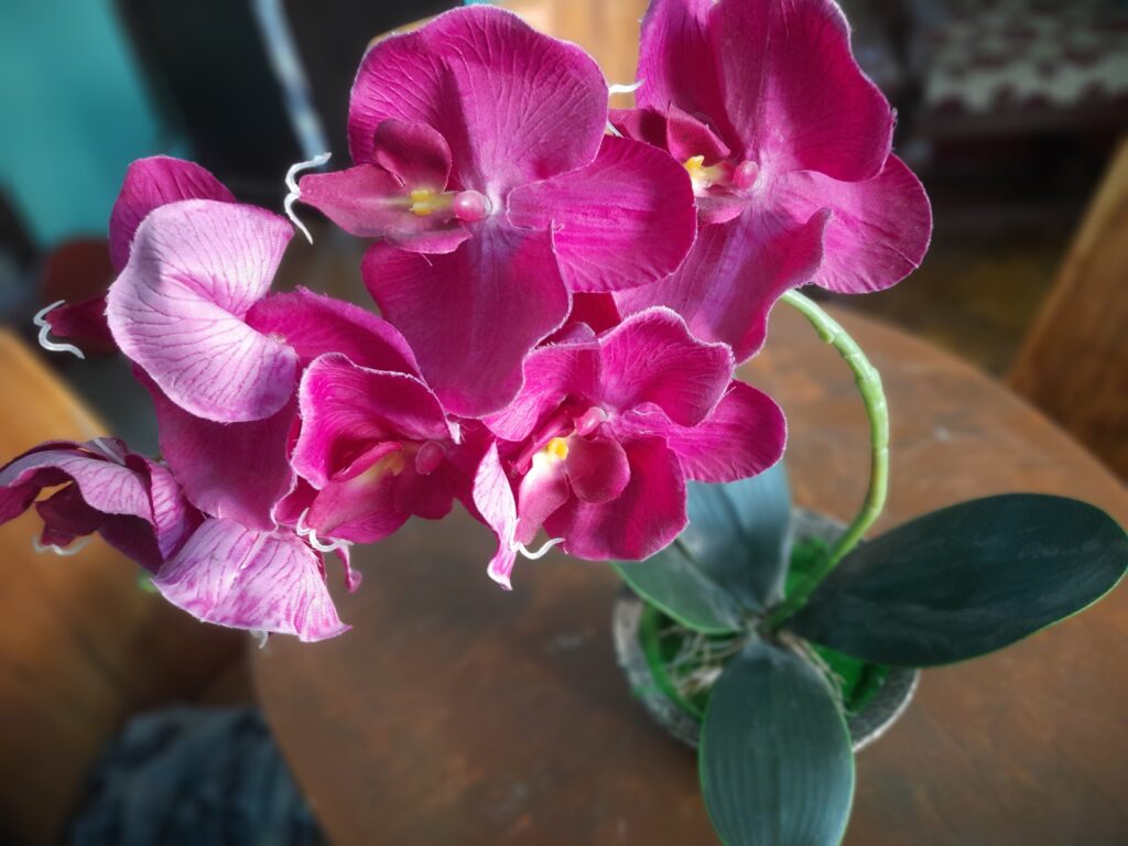 Single Stem Phalaenopsis Orchid Silk Flower Arrangement