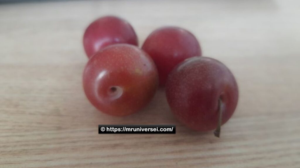 Aloo Bukhara: Introduction, Health Benefits, Side Effects, and Keynotes