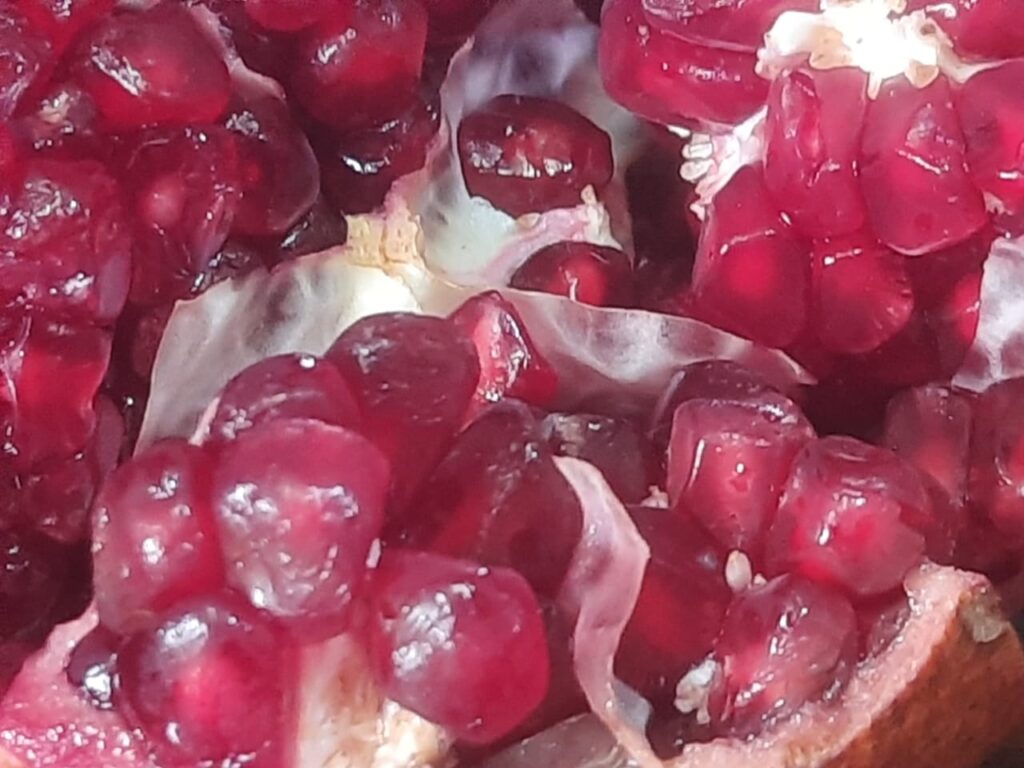 h10 Health Benefits of Pomegranate- Introduction, Description, and Keynotes