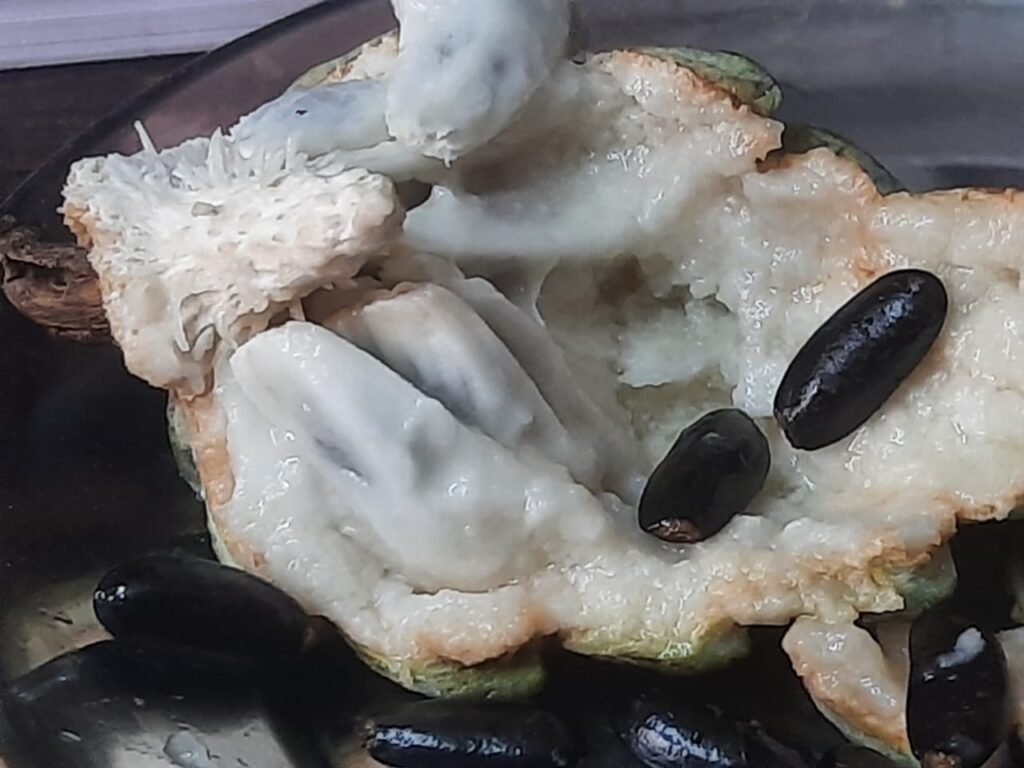 Custard apple known for nutrient-rich, antioxidant-packed, and energy-boosting