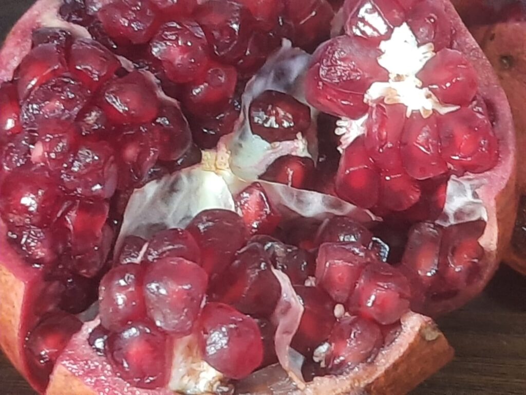 Pomegranate
