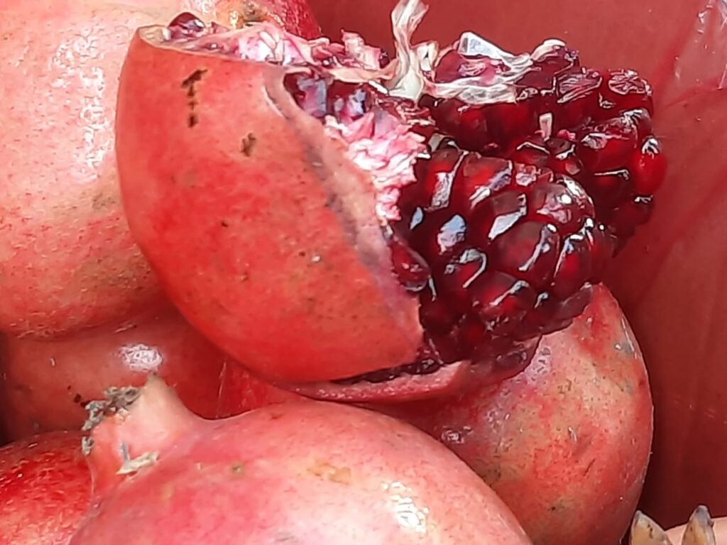 Pomegranate seeds