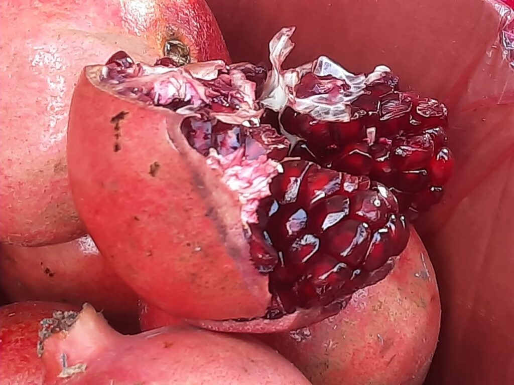 Seeds of Pomegranate