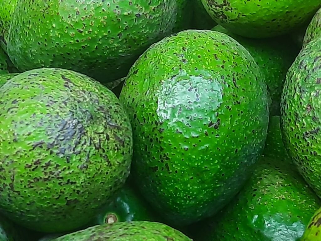 10 Health and Nutrition Benefits of Avocardo