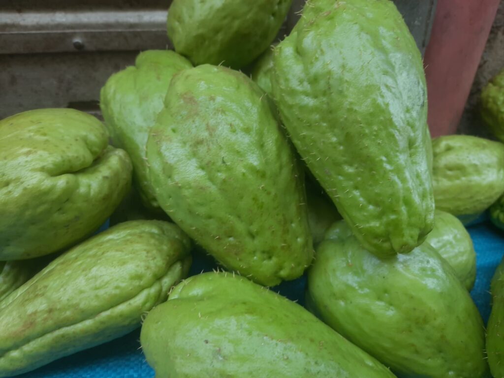 10 Health and Nutrition Benefits of Chayote (Sechium edule)-Introduction, Description, and Keynotes