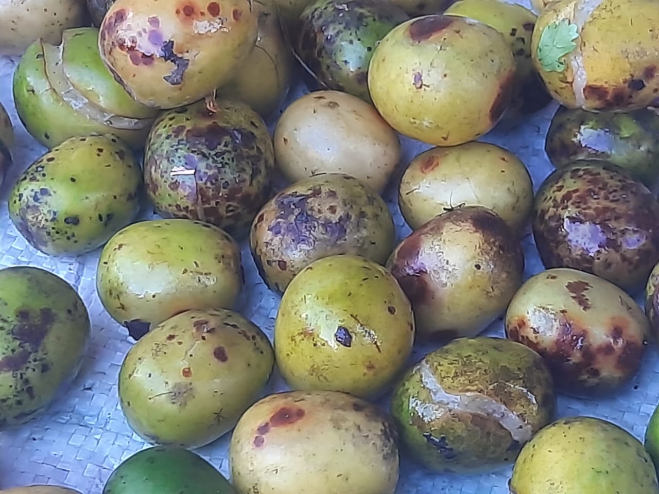 10 Health and Nutrition Benefits of Lapsi (Choerospondias): Intro