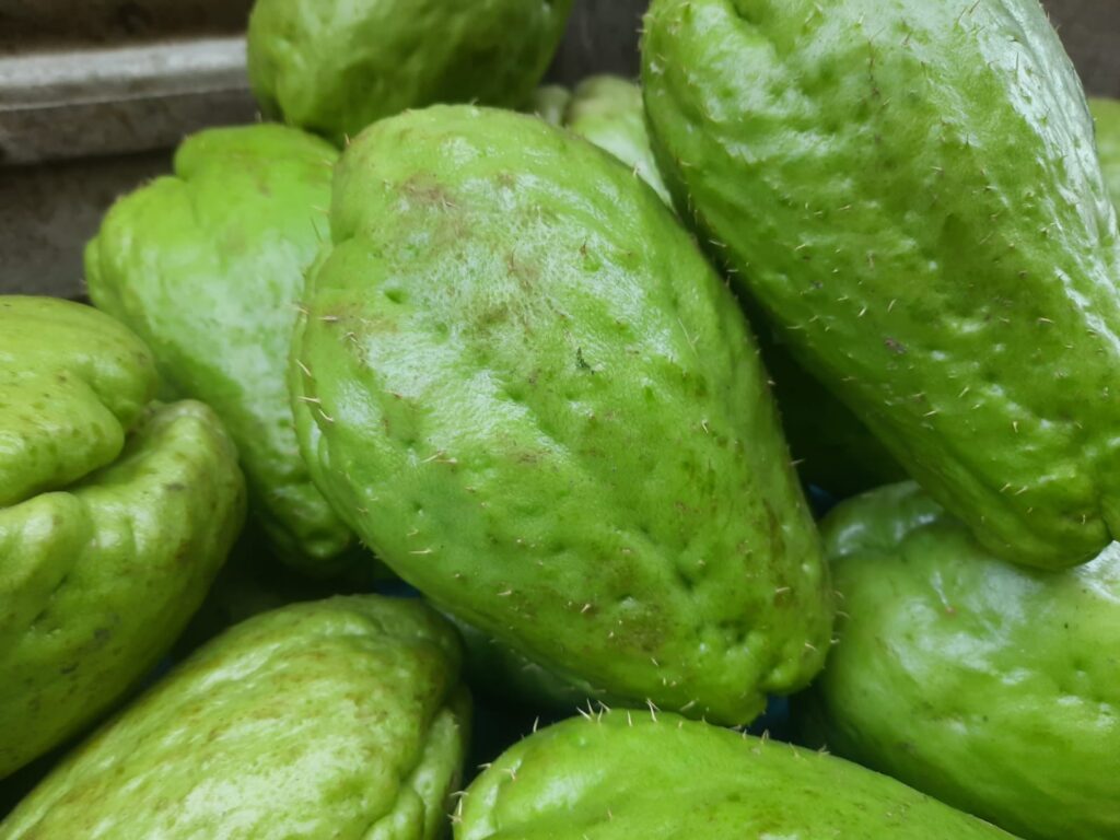 Chayote