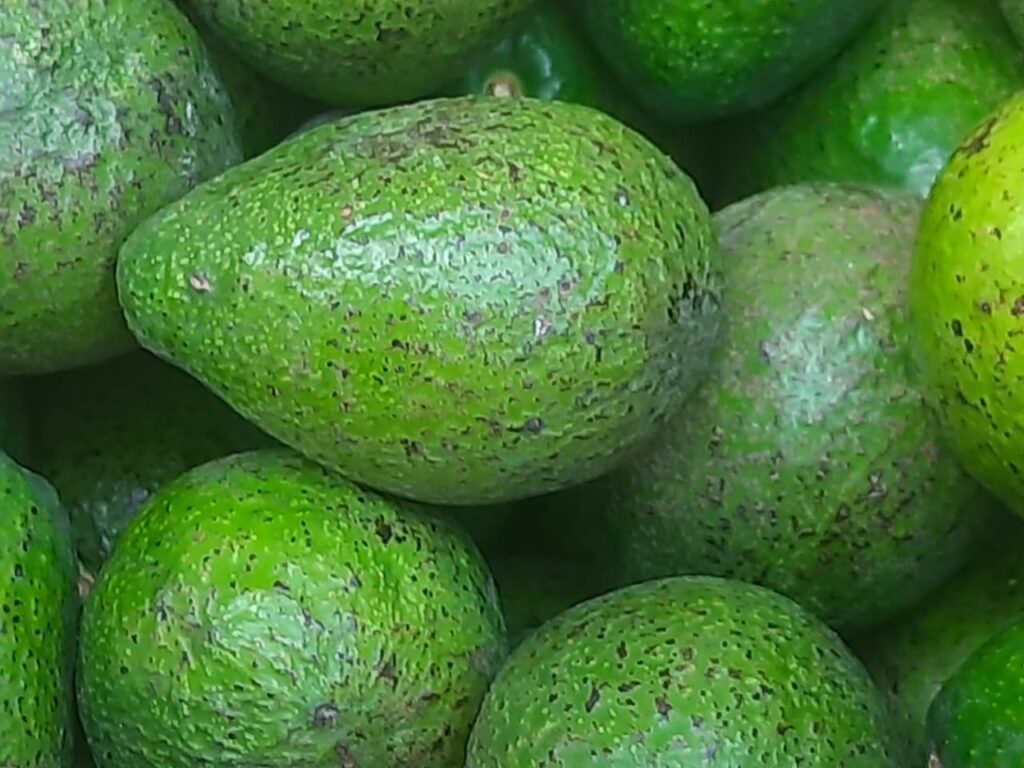 Health and Nutrition Benefits of Avocardo