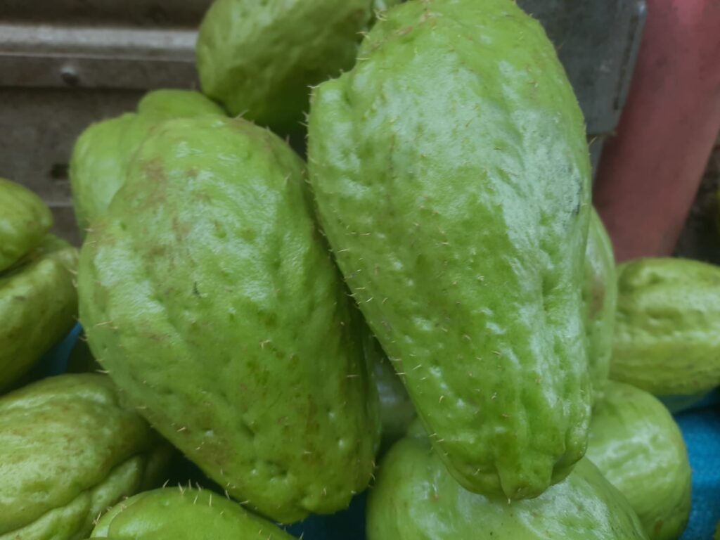 Health and Nutrition Benefits of Chayote (Sechium edule)- Introduction, Description, and Keynotes