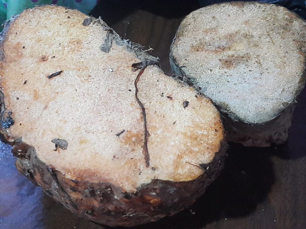 Pieces of yam (oal)