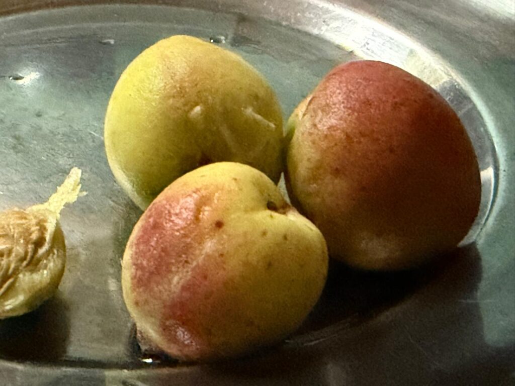 A bowl of sun-kissed peaches, nature's sweet summer bounty