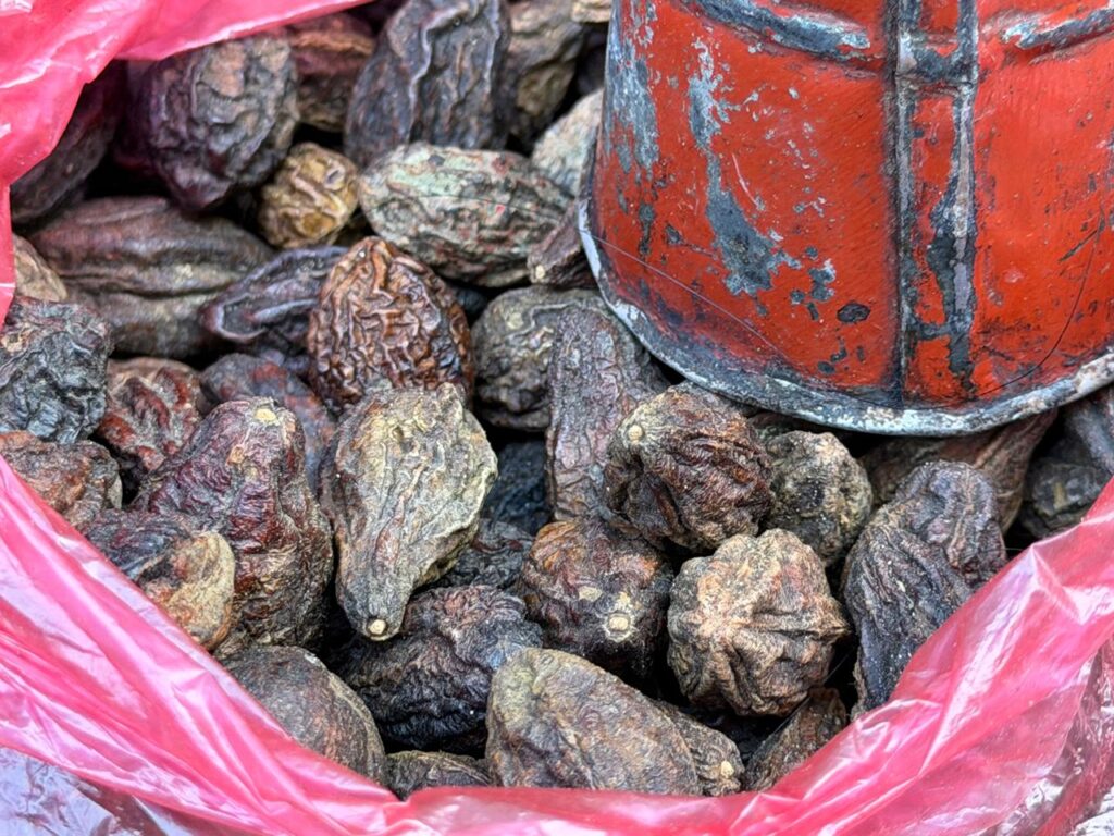 A collection of dark, wrinkled Barro (Terminalia bellirica) fruits sitting in a pink plastic bag next to a traditional metal measuring cup-