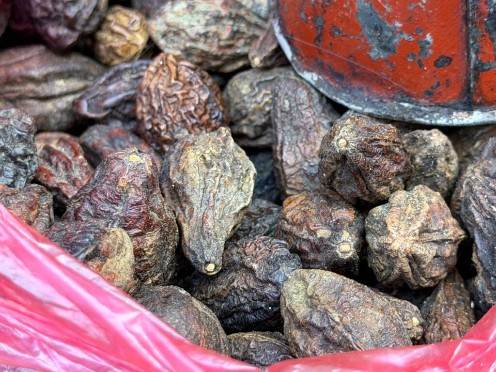 Barro (Terminalia bellirica)