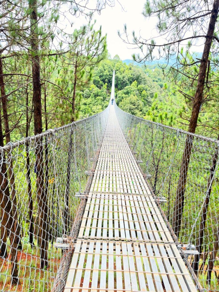 Covering length of Pharping Suspension Bridge