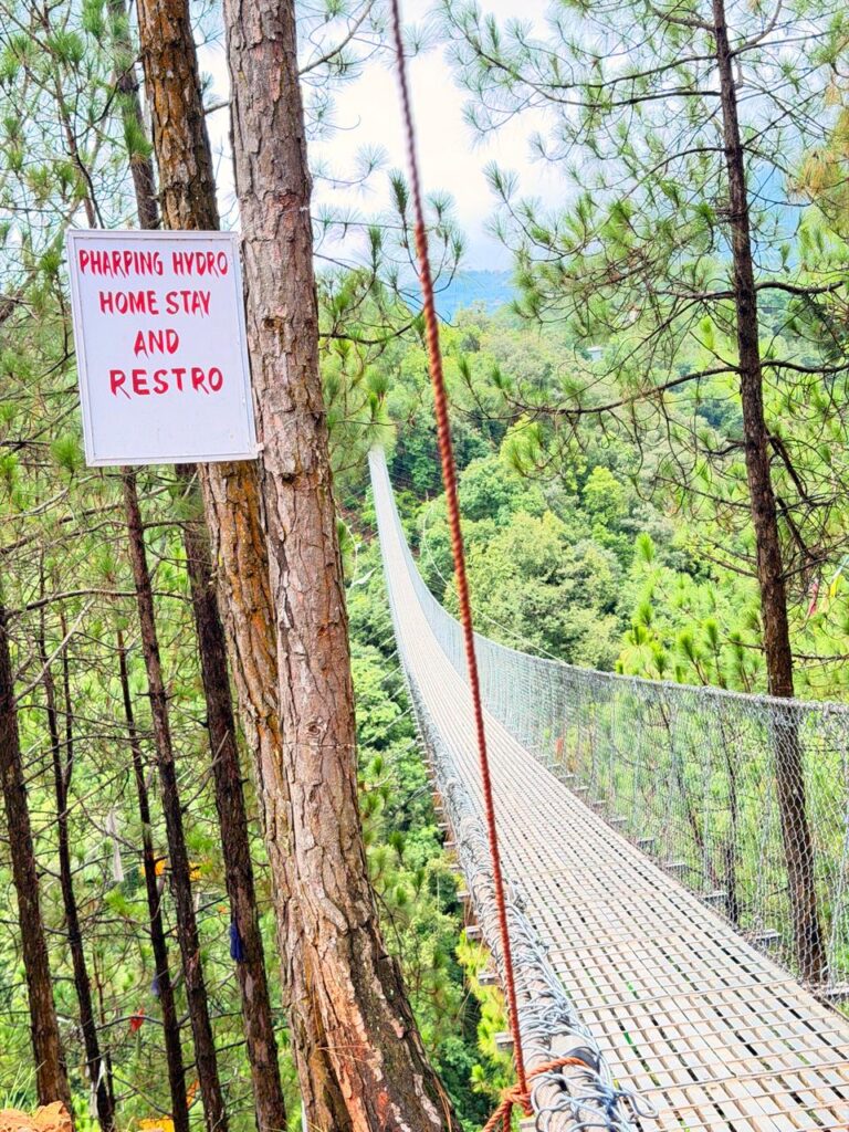 Pharping Suspension Bridge-side view