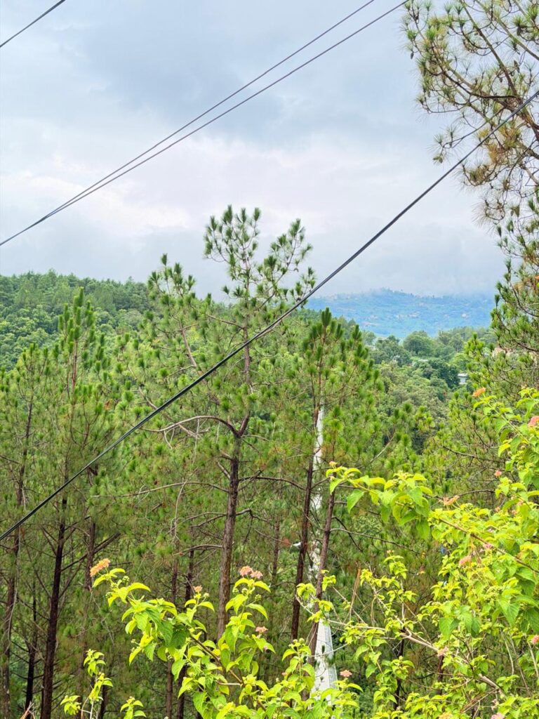 Pharping Suspension Bridge view from upperside