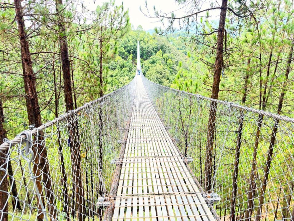 Suspension Bridge of Pharping